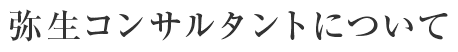 弥生コンサルタントについて