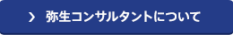 弥生コンサルタントについて