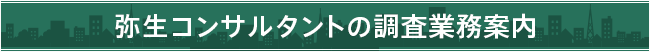 弥生コンサルタントの調査業務案内